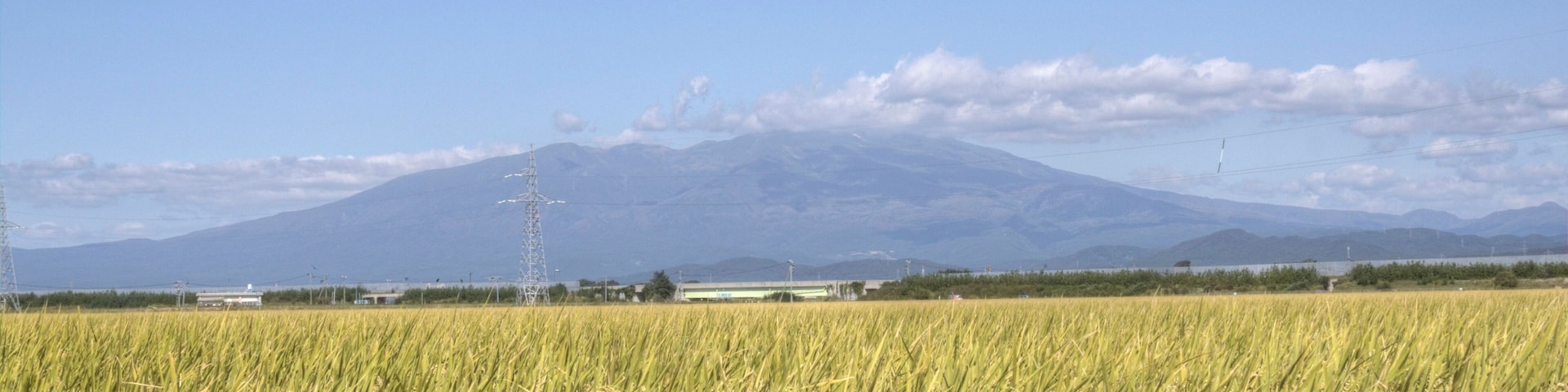 鳥海山と酒田の田畑