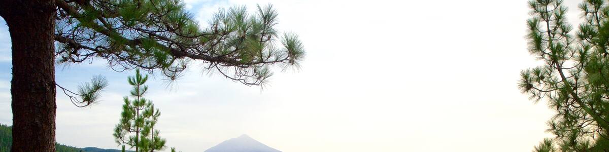 Santiago del Teide which includes mountains and forests