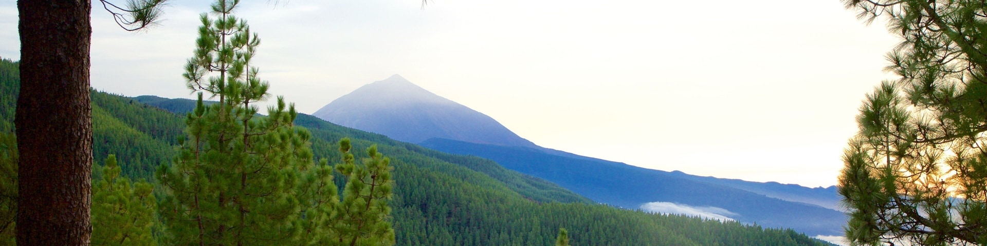 Santiago del Teide which includes mountains and forests