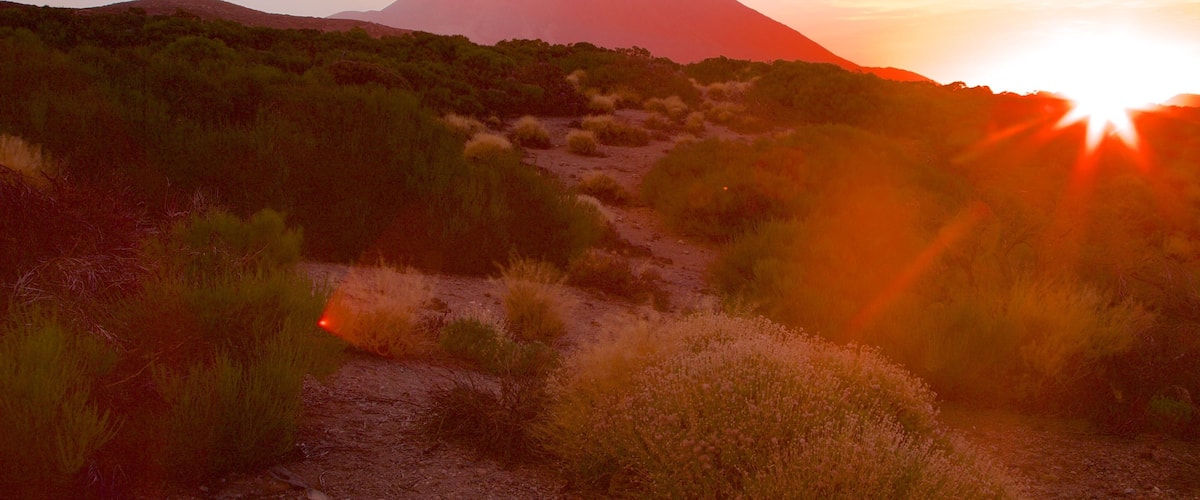 A desert landscape with a mountain in the background and the sun setting.