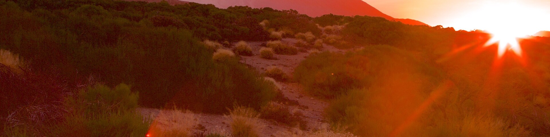 A desert landscape with a mountain in the background and the sun setting.