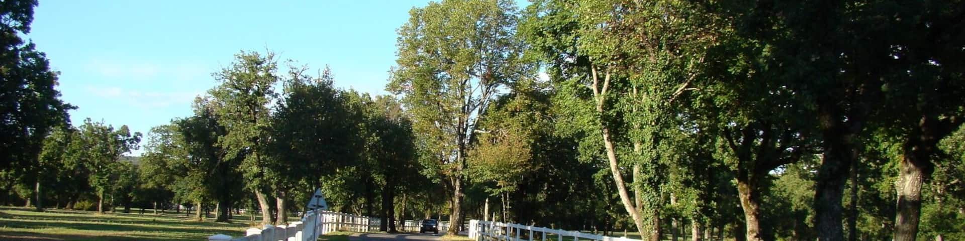 Загоны для лошадей