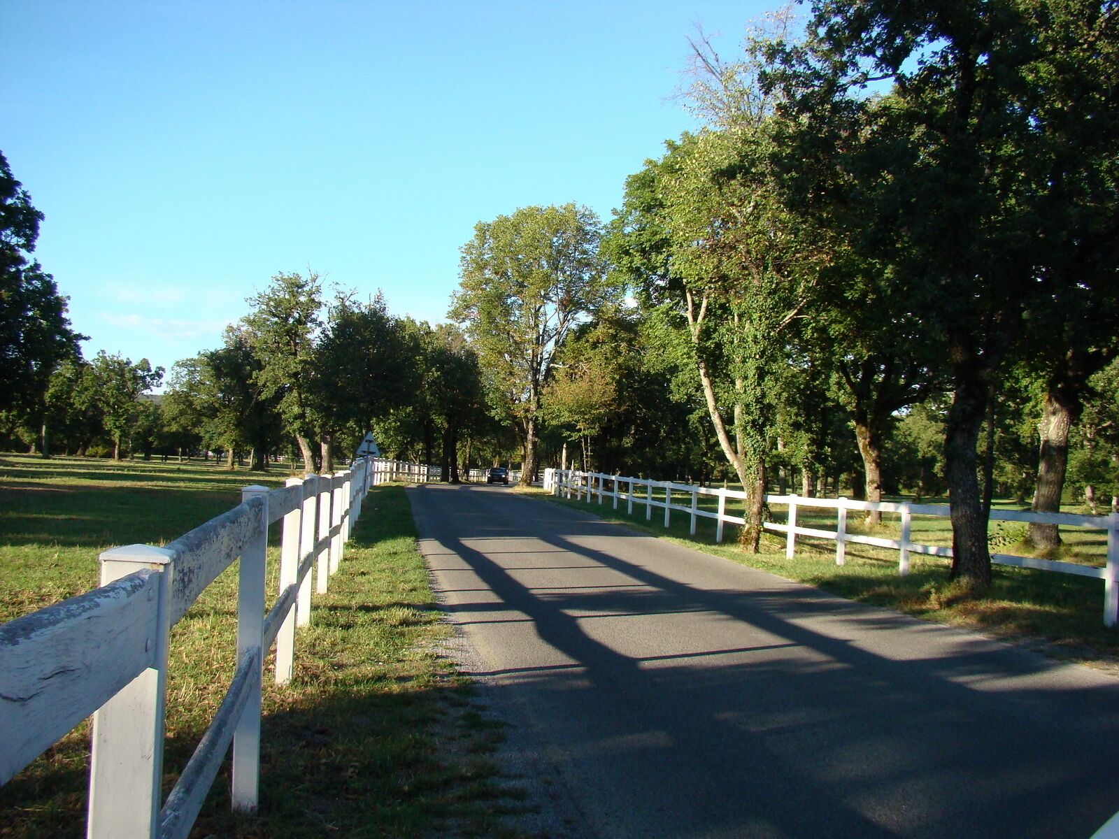 A paved pathway flanked by white fences and trees in a park.