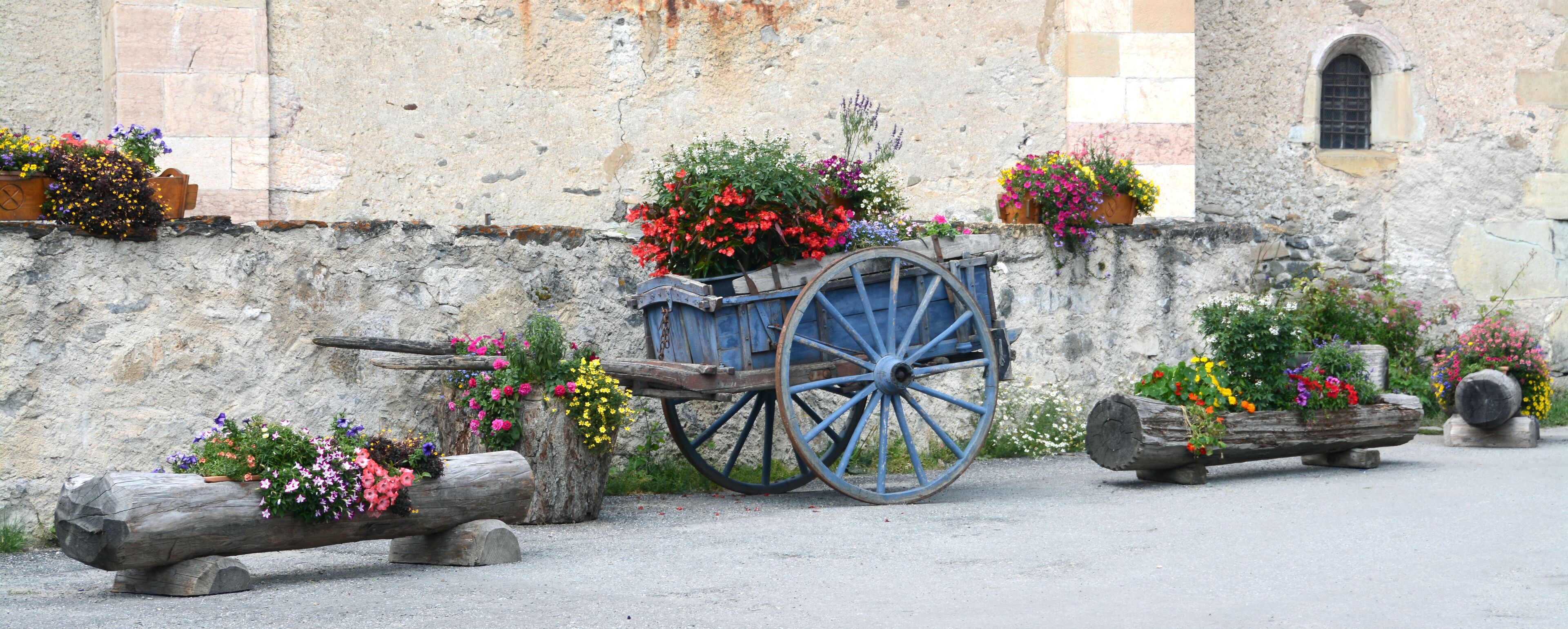 A rustic stone wall with a blue cart filled with colorful flowers, surrounded by wooden logs and planters.