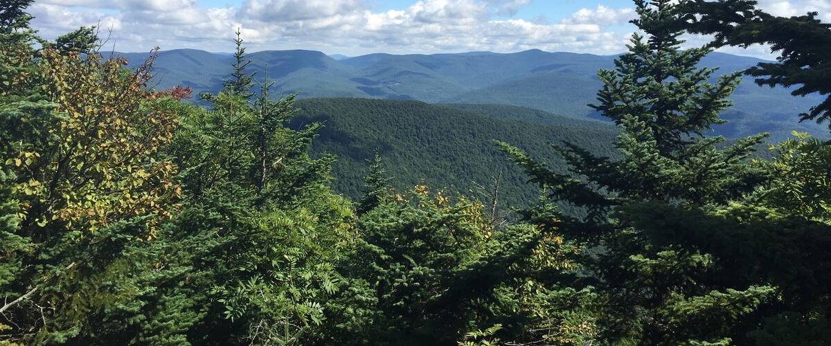 A mountainous landscape with dense forests and a clear blue sky.