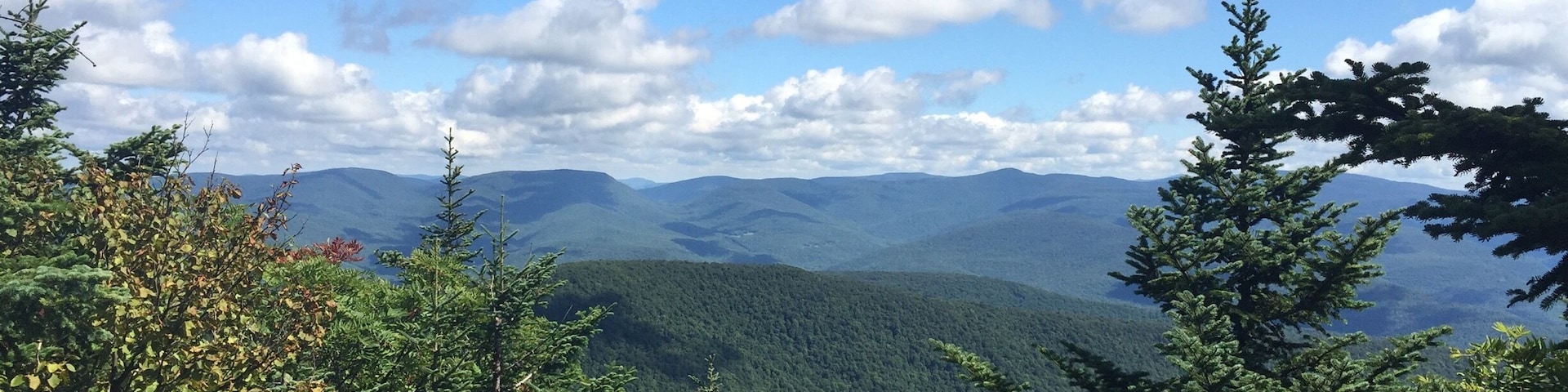 A mountainous landscape with dense forests and a clear blue sky.