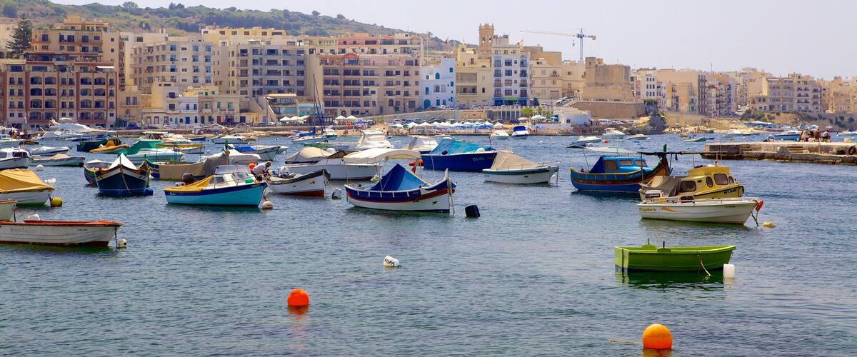 A harbor with numerous boats, a coastal town with buildings, and a clear sky.