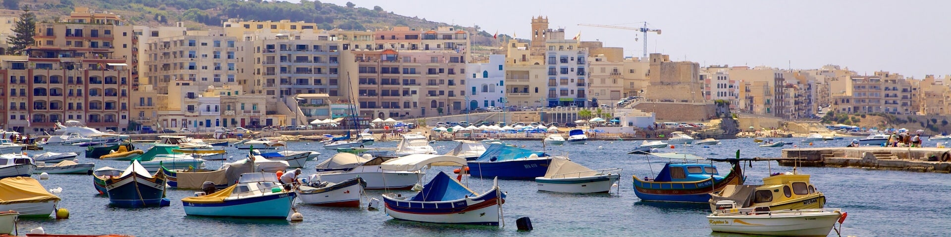 A harbor with numerous boats, a coastal town with buildings, and a clear sky.