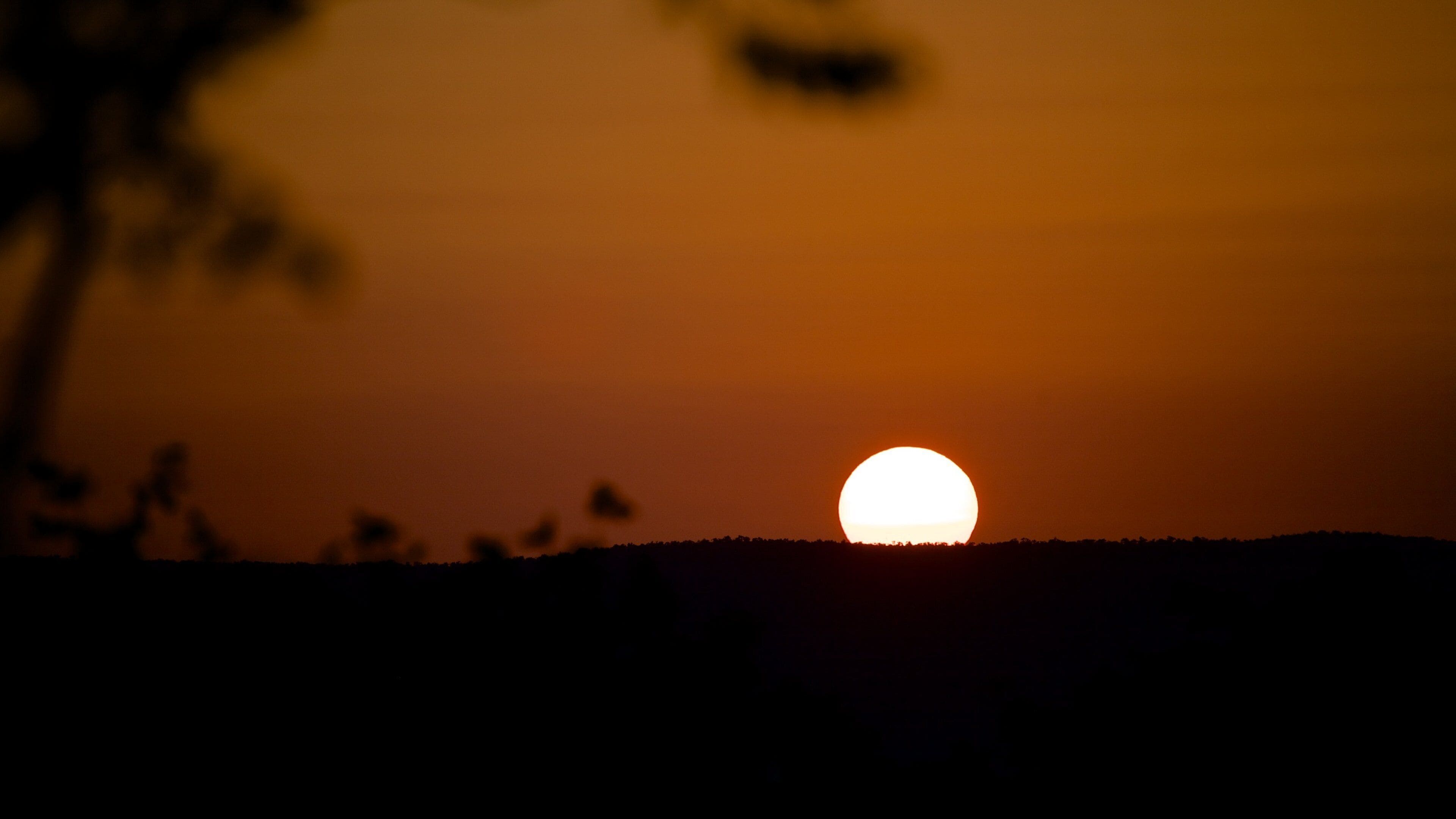 Kruger National Park which includes a sunset