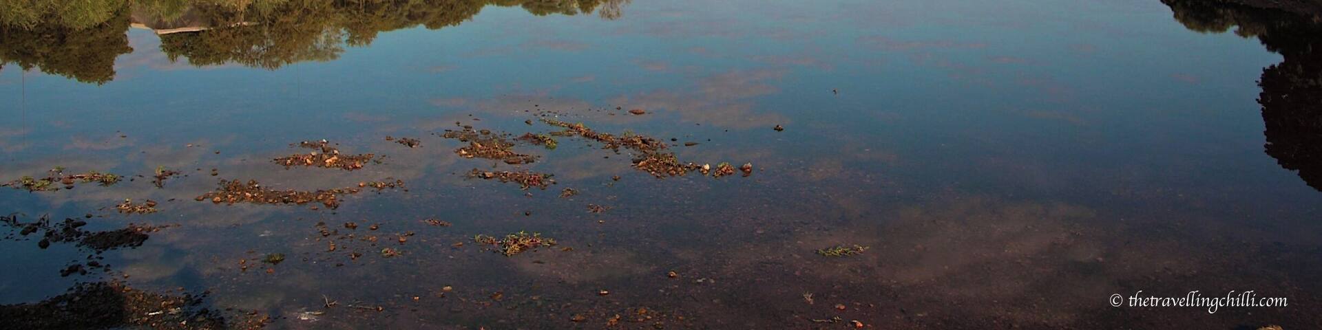 Shingwedzi Rest Camp is one of the SANParks restcamps in the Kruger National Park in South Africa. It's located in the northern part of the park, along the Shingwedzi river. It's stunning to sit on the terrace with a sundowner enjoying stunning sunsets while looking at the animals soaking up the last rays of sun. More information about the northern part of Kruger in this blog post --> http://www.thetravellingchilli.com/2015/06/kruger-national-park-6-breathtaking-highlights-from-the-north/