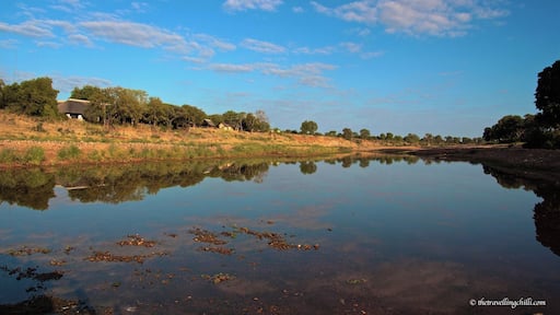 Shingwedzi Rest Camp is one of the SANParks restcamps in the Kruger National Park in South Africa. It's located in the northern part of the park, along the Shingwedzi river. It's stunning to sit on the terrace with a sundowner enjoying stunning sunsets while looking at the animals soaking up the last rays of sun. More information about the northern part of Kruger in this blog post --> http://www.thetravellingchilli.com/2015/06/kruger-national-park-6-breathtaking-highlights-from-the-north/