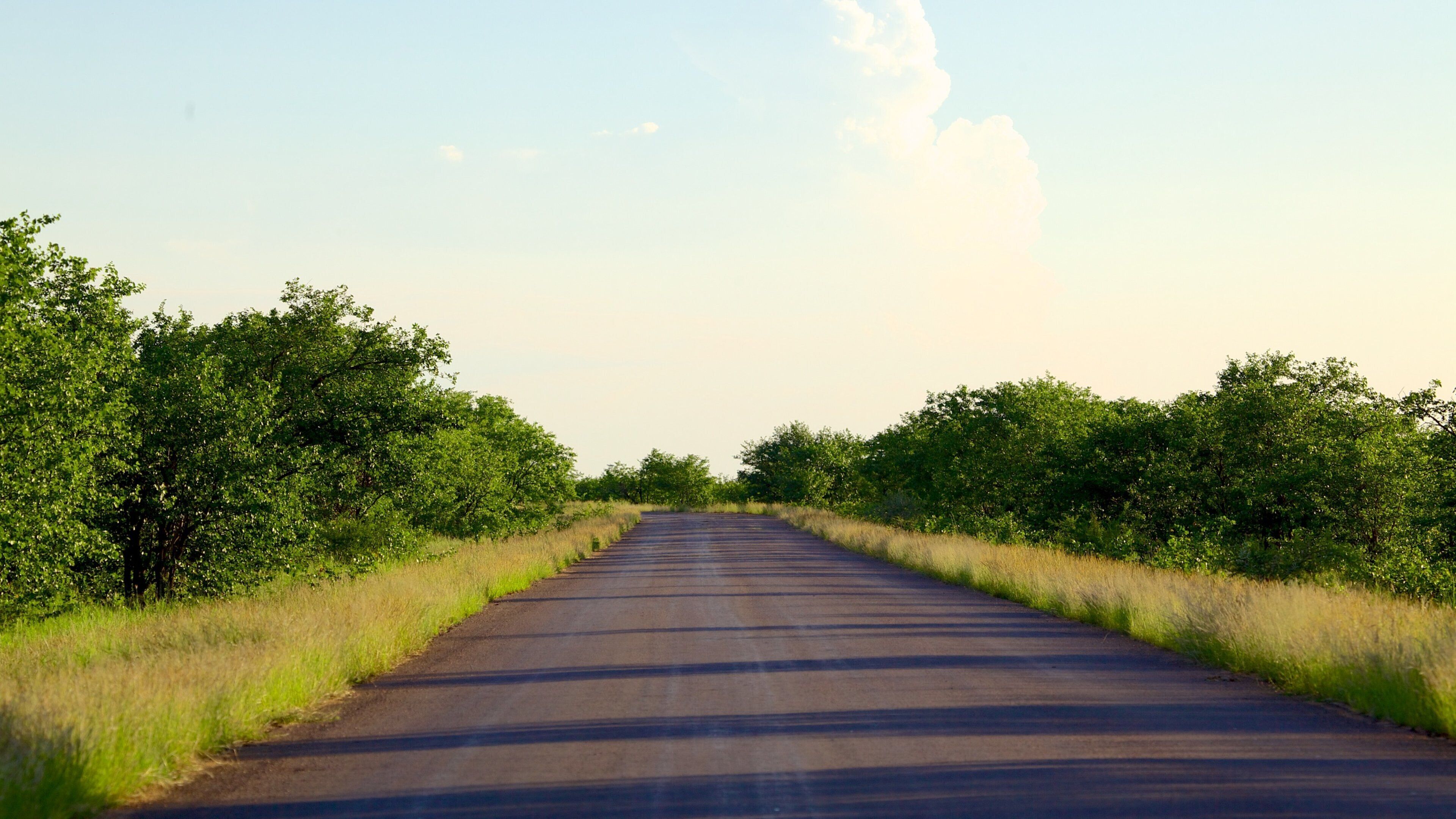 A rural road flanked by dense green foliage under a clear sky.