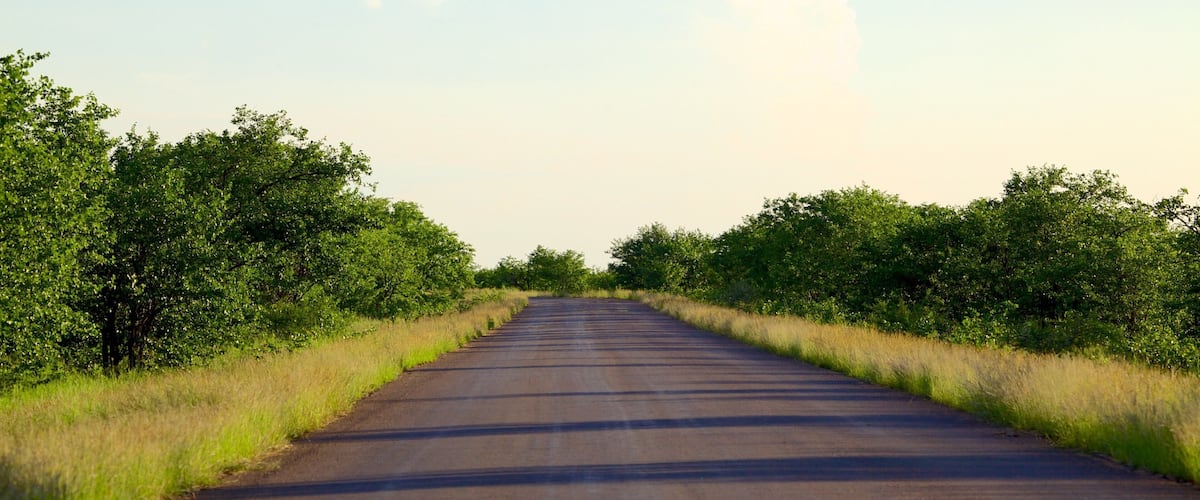 A rural road flanked by dense green foliage under a clear sky.