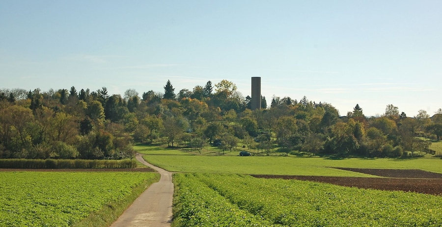 Paisaje rural con un camino de tierra, campos verdes y una chimenea alta en una colina.
