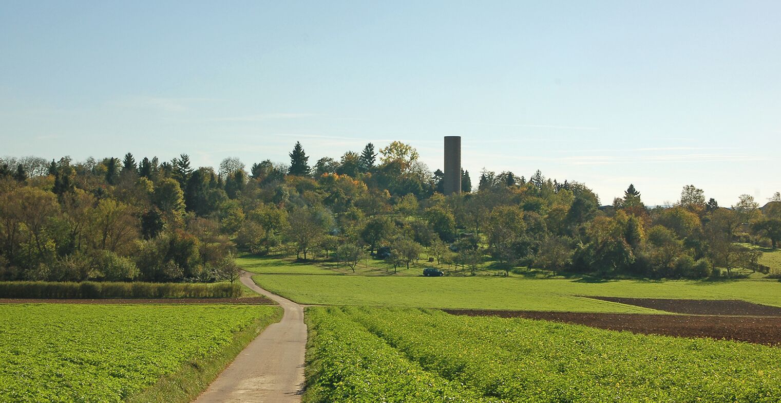 A rural landscape with a dirt road, green fields, and a tall chimney on a hill.