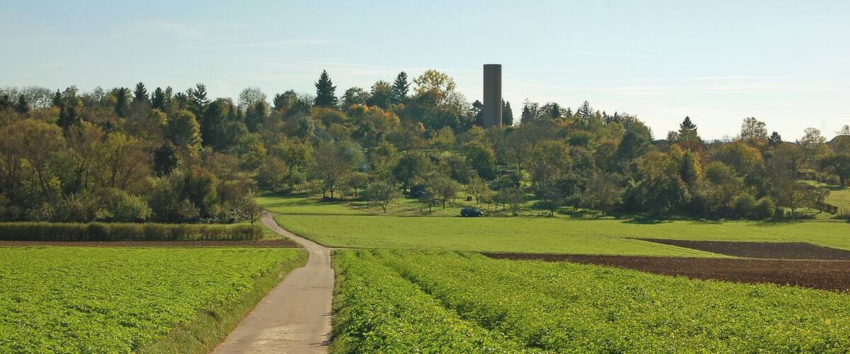 A rural landscape with a dirt road, green fields, and a tall chimney on a hill.