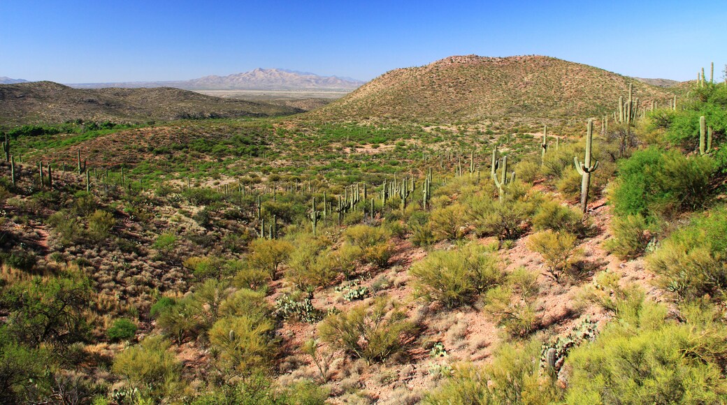 Desert mountain view as seen from the gift shop and cave entrance of Colossal Cave Mountain Park in Vail, Arizona, USA, near Tucson in the Sonoran Desert.