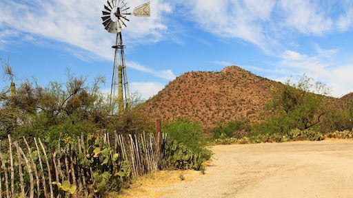 Windmill, mountain and butterfly garden along a fence on the La Posta Quemada Ranch with copy space in Colossal Cave Mountain Park in Vail, Arizona, USA near Tucson.