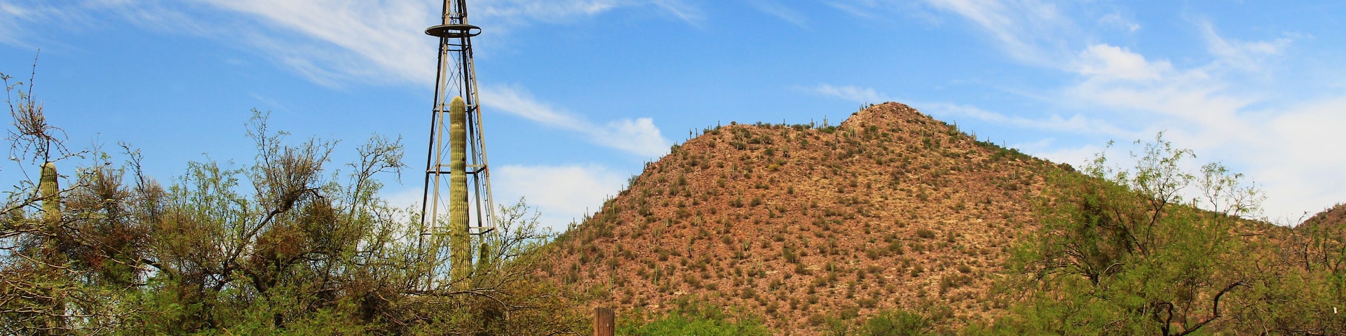 Windmill, mountain and butterfly garden along a fence on the La Posta Quemada Ranch with copy space in Colossal Cave Mountain Park in Vail, Arizona, USA near Tucson.