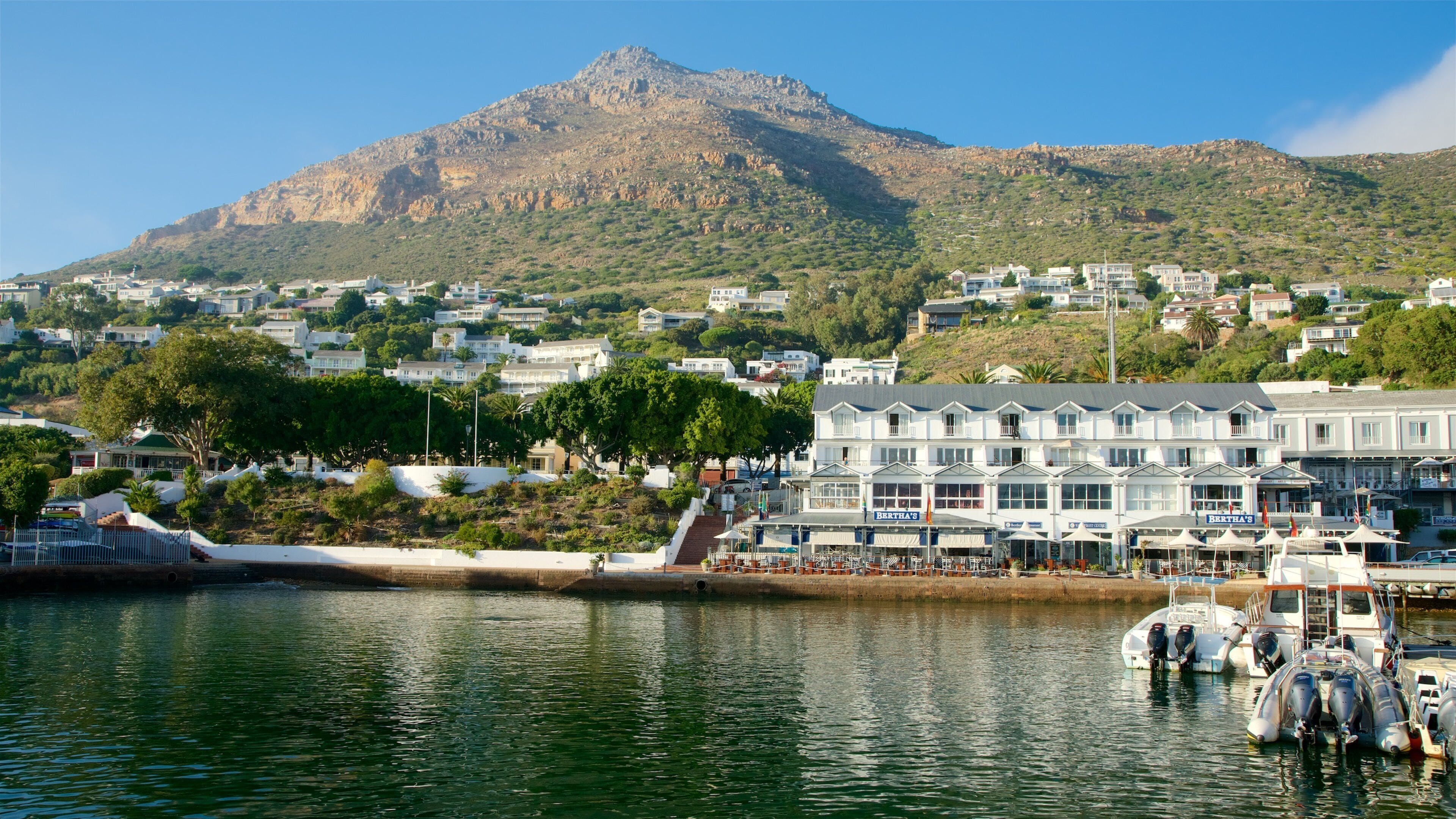 A coastal town with a marina, white buildings, and a mountain in the background.