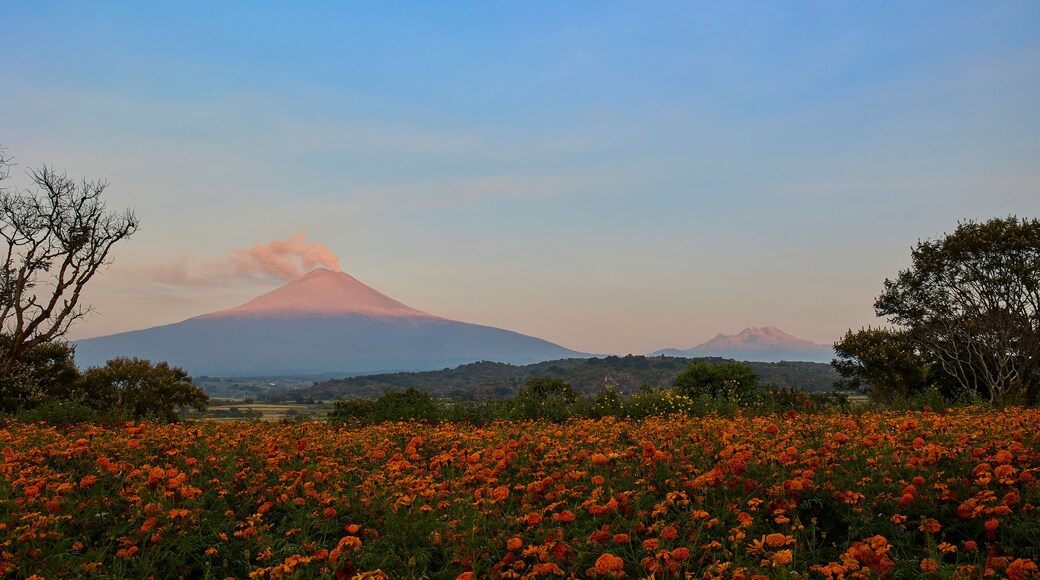 Atlixco