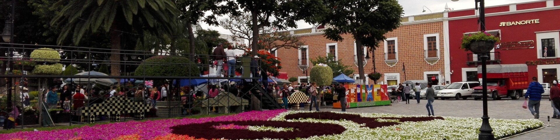 Um jardim de flores com flores vermelhas, brancas e rosa, rodeado por árvores e edifícios.
