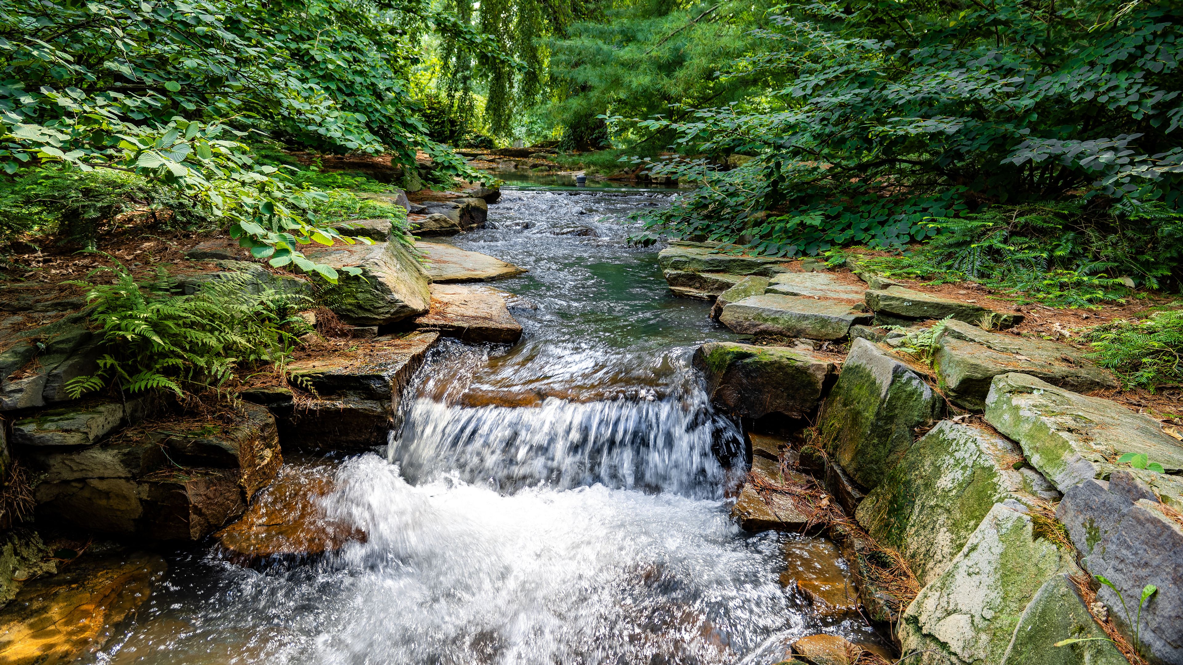 Small waterfall in the forest