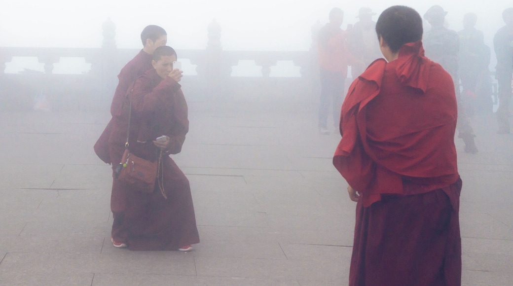 A few buddhist monks enjoying a photo opp at the top of Mount Emei as the fog rolls in.