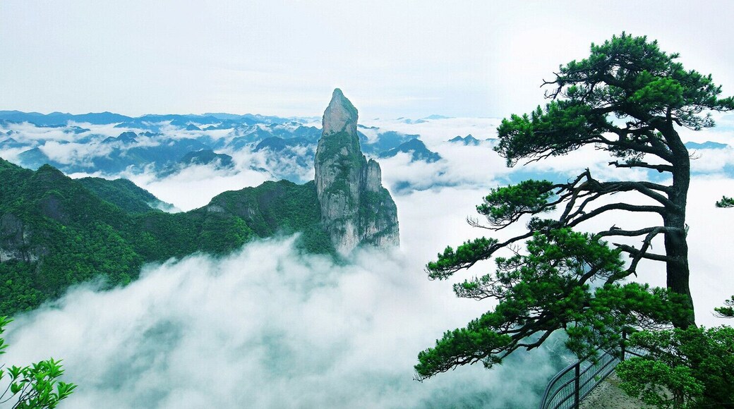 #Shenxianju Scenic Area in Zhejiang Province of China,with amazing marvellous sea of clouds and magic mountain landscape,very beautiful!
浙江神仙居
https://twitter.com/Beautifulgx