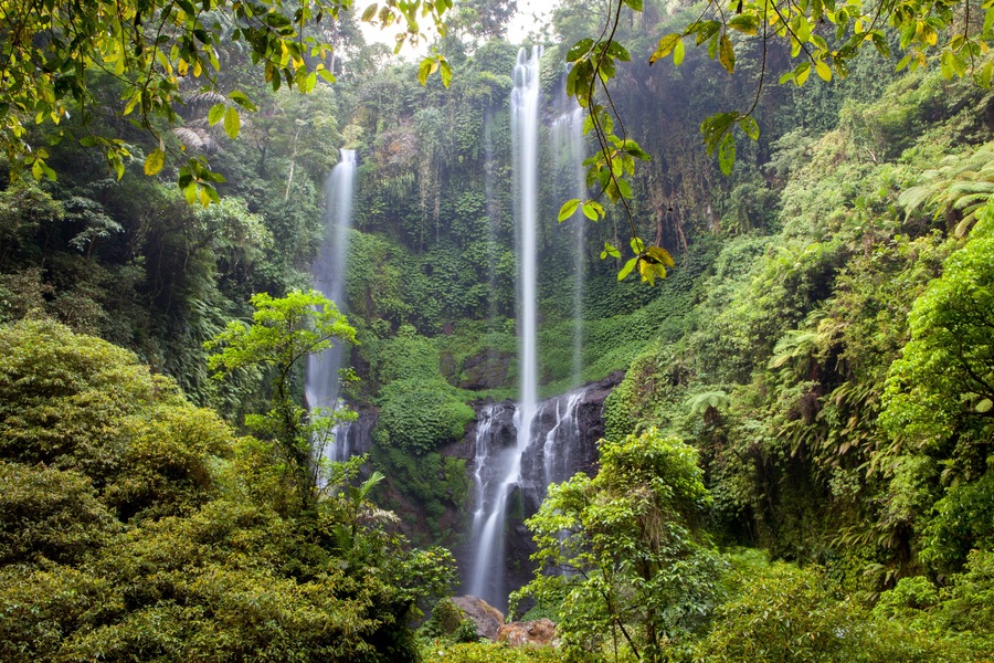 scenic view of sekumpul waterfall in bali indonesia