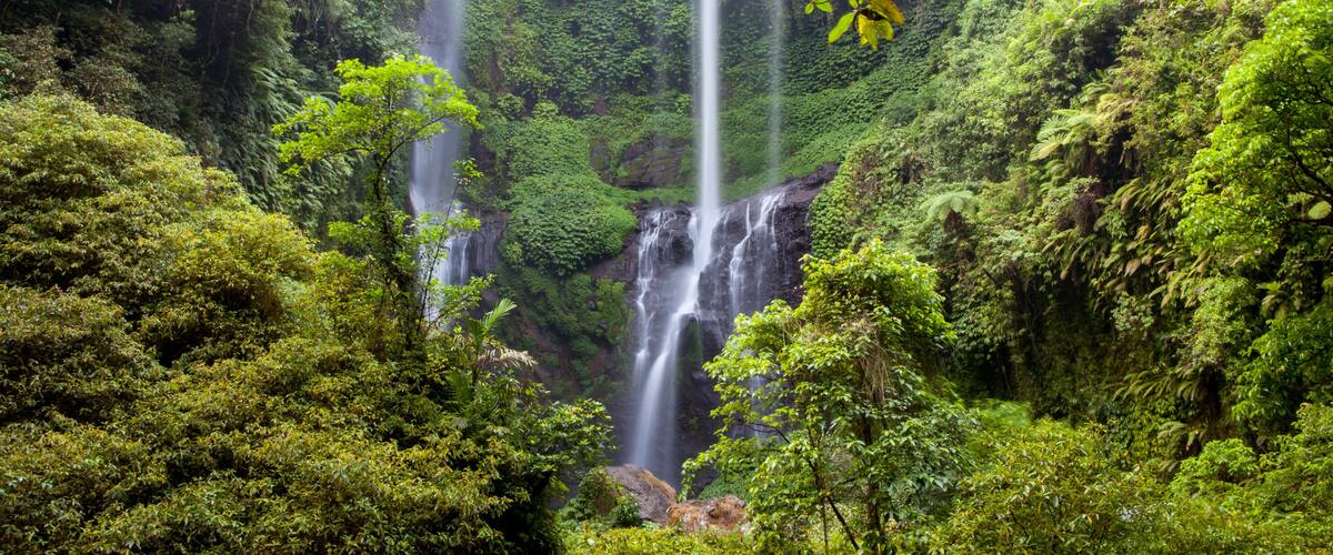 A lush rainforest with multiple waterfalls and dense greenery.