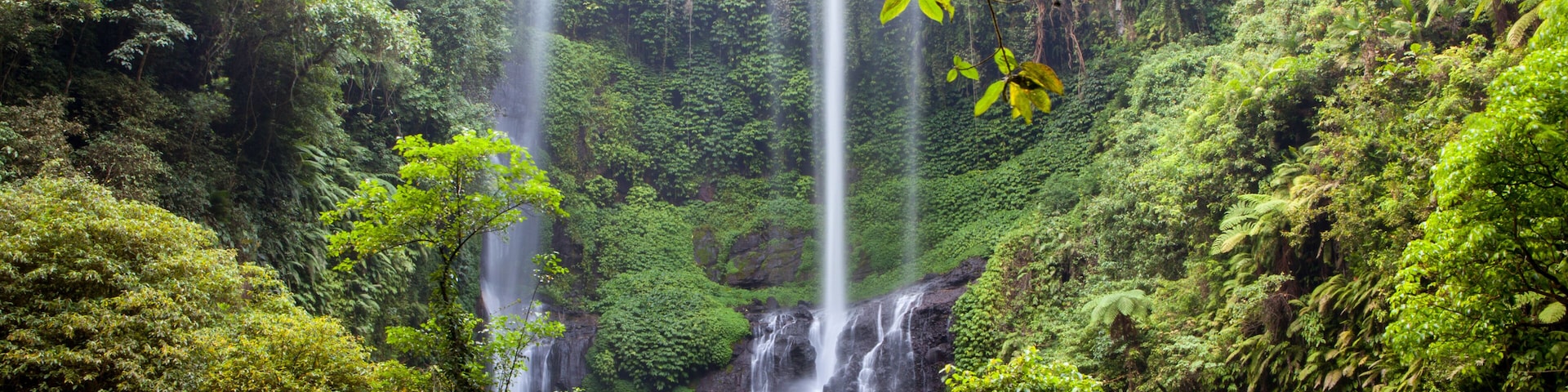A lush rainforest with multiple waterfalls and dense greenery.