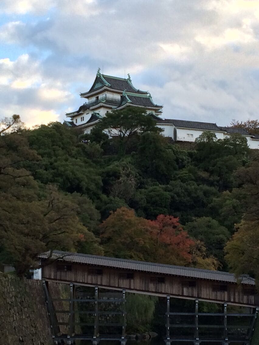 wakayama castle