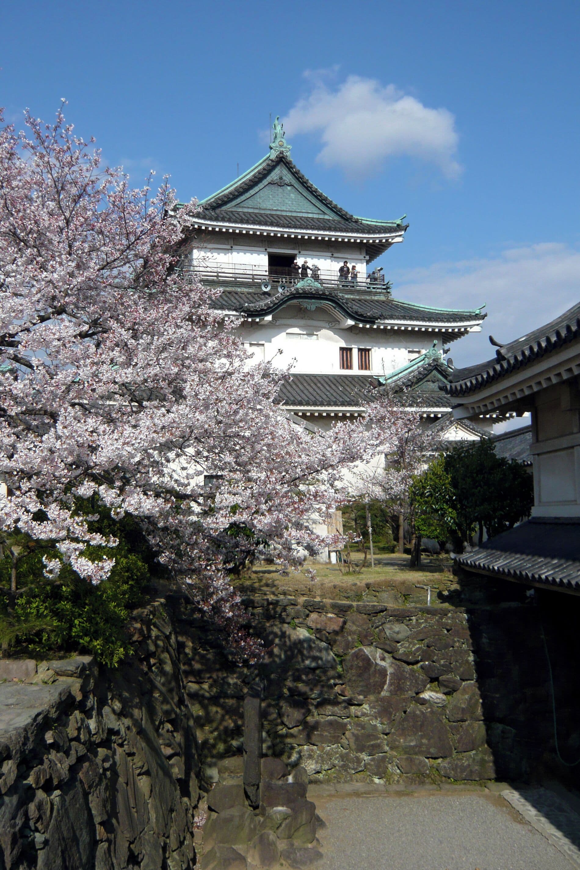 A traditional Japanese castle with cherry blossoms in bloom, stone walls, and a clear blue sky.