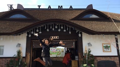 The last stop on the Kishigawa line in Wakayama... The Kishi Station. Home to the famous Japanese station master cat, Tama!