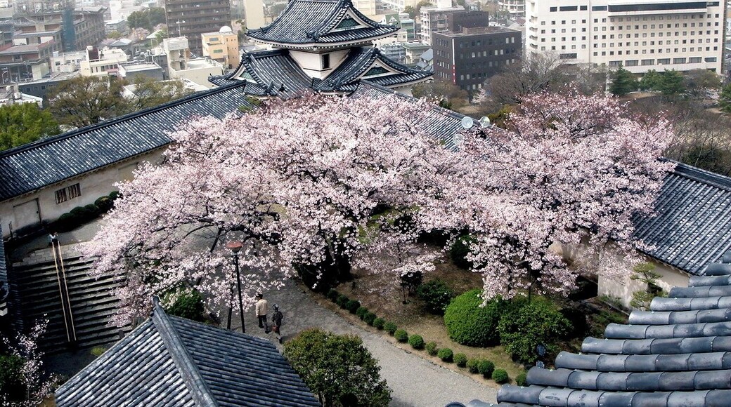 Skyline of Wakayama, Wakayama, viewed from the Wakayama Castle.