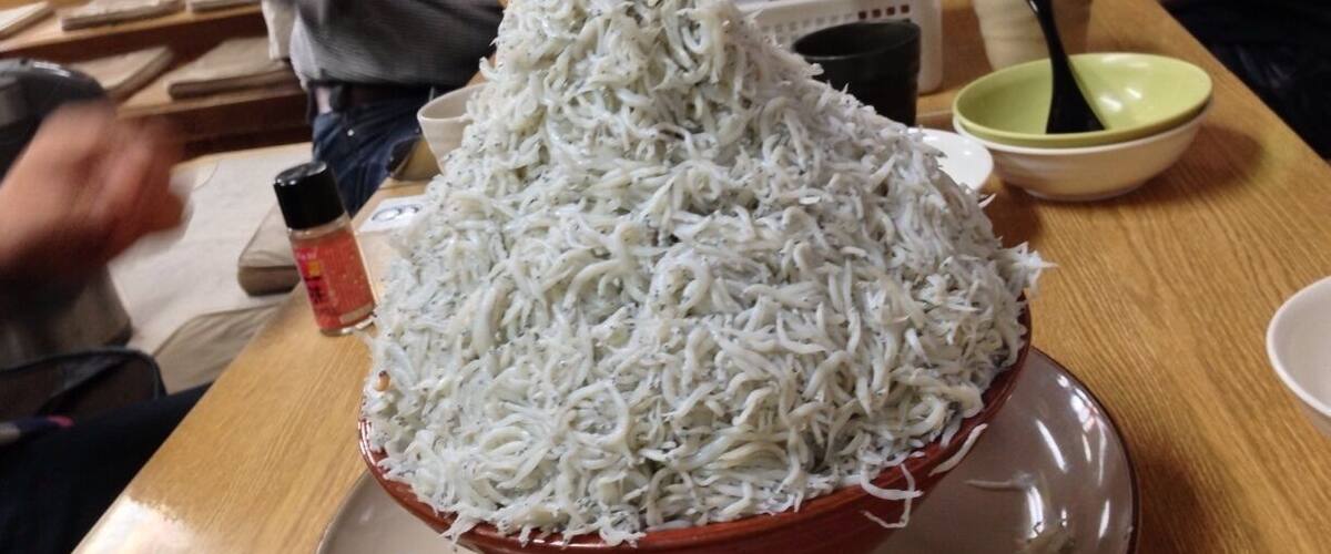 シラス丼