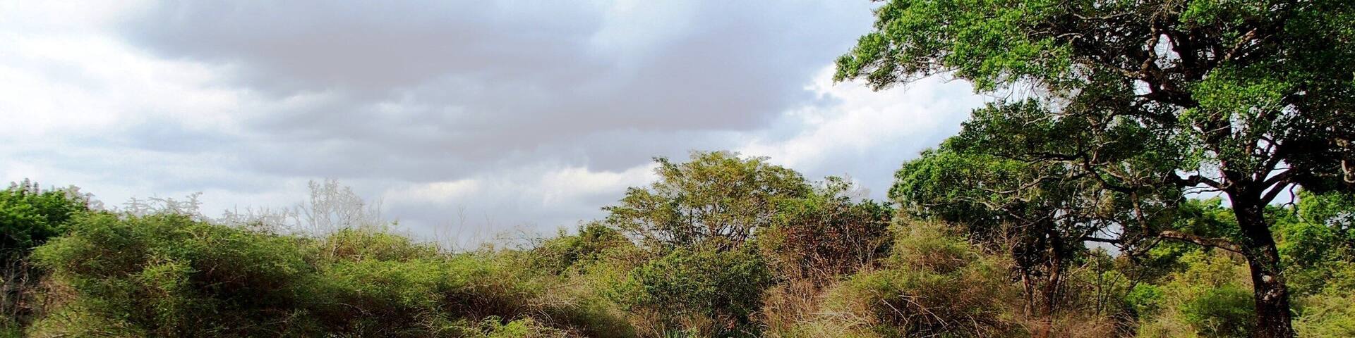 Hururu Eco Park , Sri Lanka
We can enjoy jeep safari in the park.