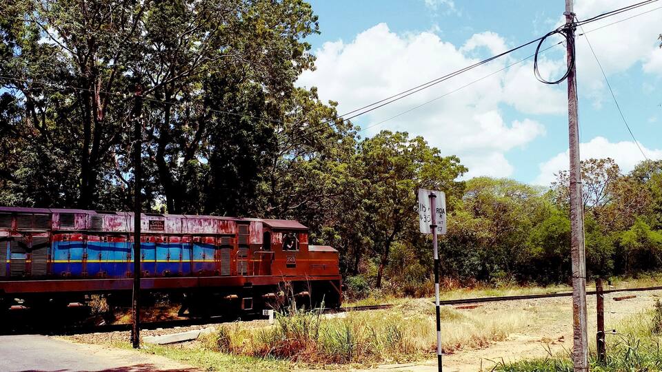 A train on tracks with a pedestrian crossing and trees in the background.