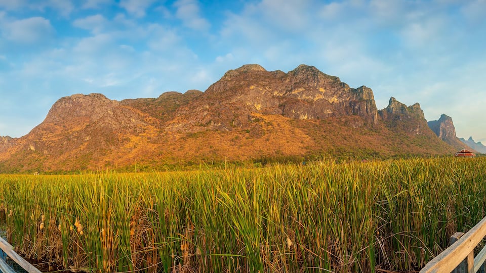 Wooden walkway in Khao Sam Roi Yot National Park, Kui Buri District, Prachuap Khiri Khan, Thailand