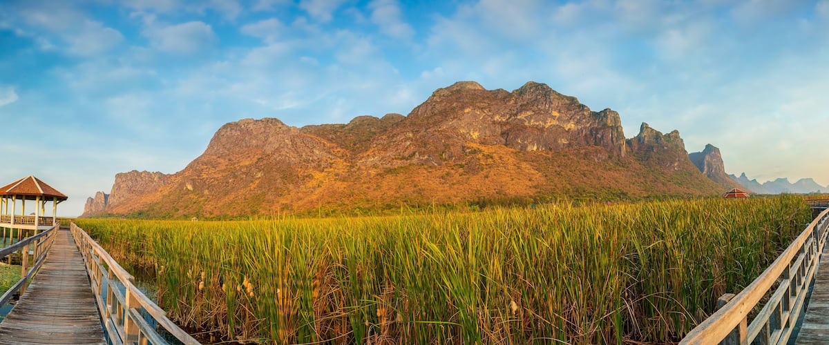 A wooden boardwalk leading to a gazebo, with a mountain and reeds in the foreground.