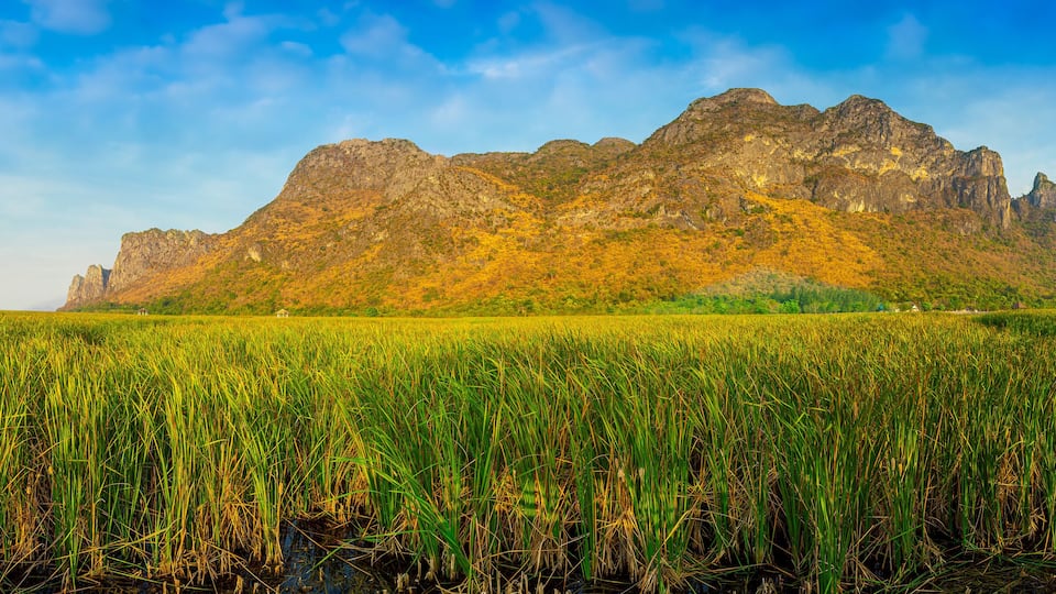 Photos
Wooden walkway in Khao Sam Roi Yot National Park, Kui Buri District, Prachuap Khiri Khan, Thailand