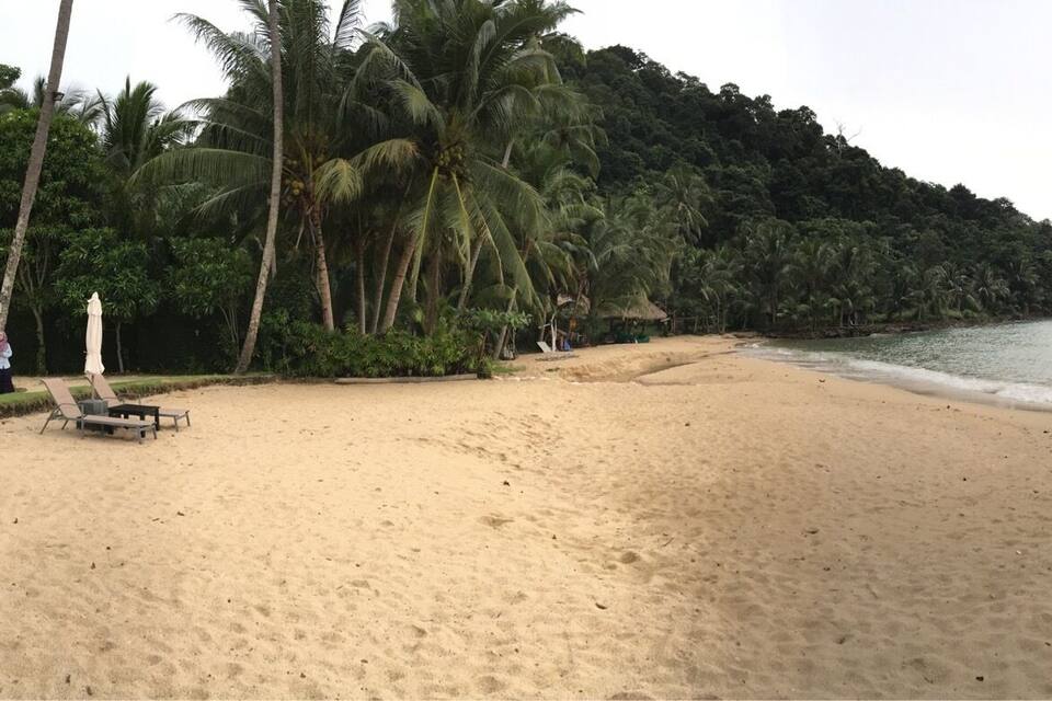 Una platja sorrenca amb palmeres i una casa al fons.