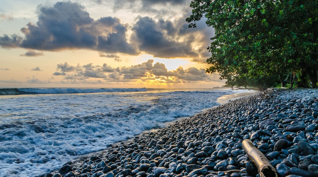 Dramatic coast with rocky volcanic beach, green tree, waves and amazing sunset, Limbe, Cameroon