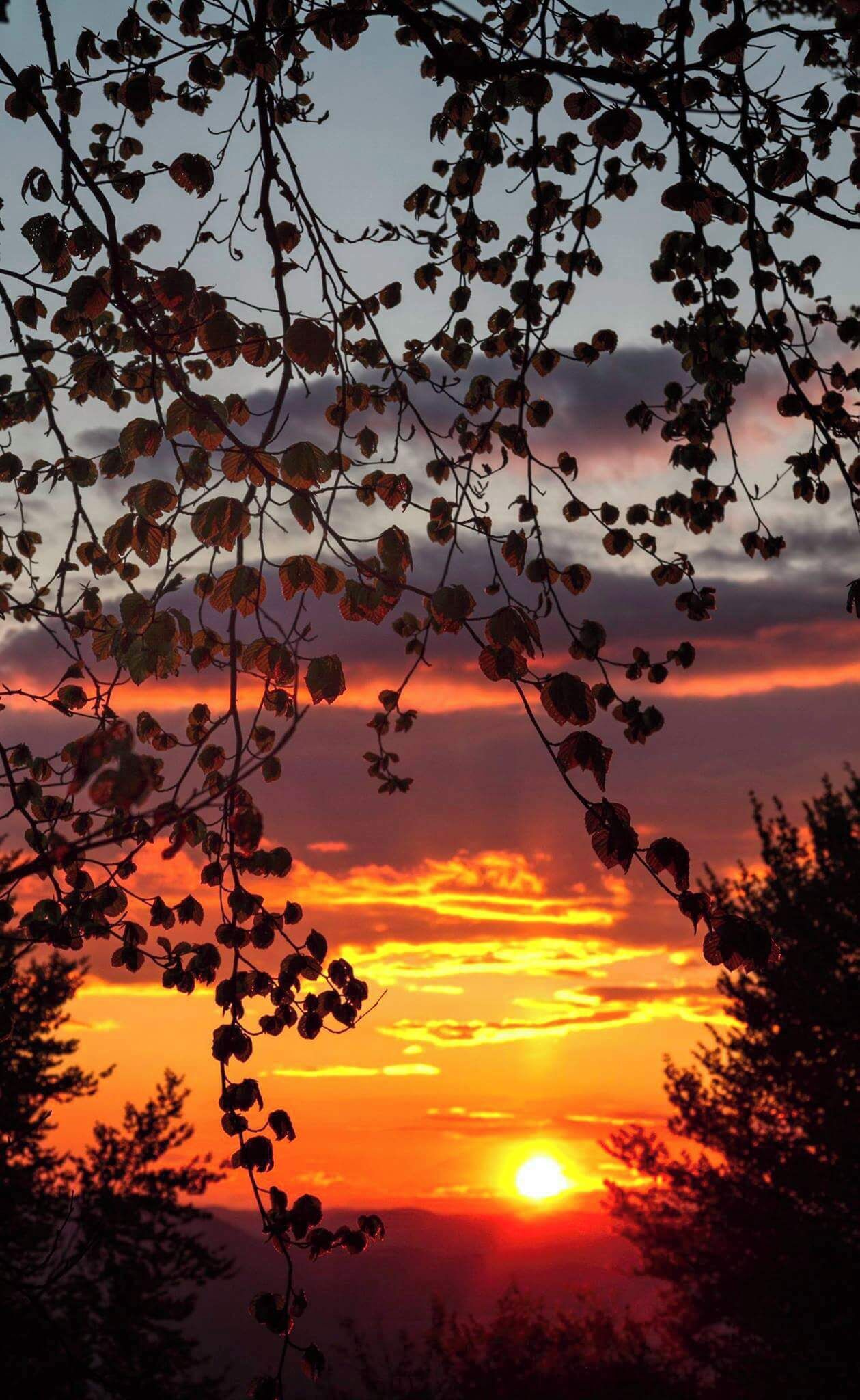 Sunset over Rhodopes.One of the habitats of bears in Bulgaria.