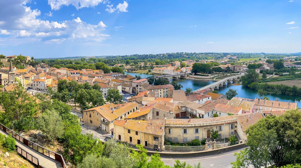 A historic town with a river, a bridge, and a prominent building with a tower.