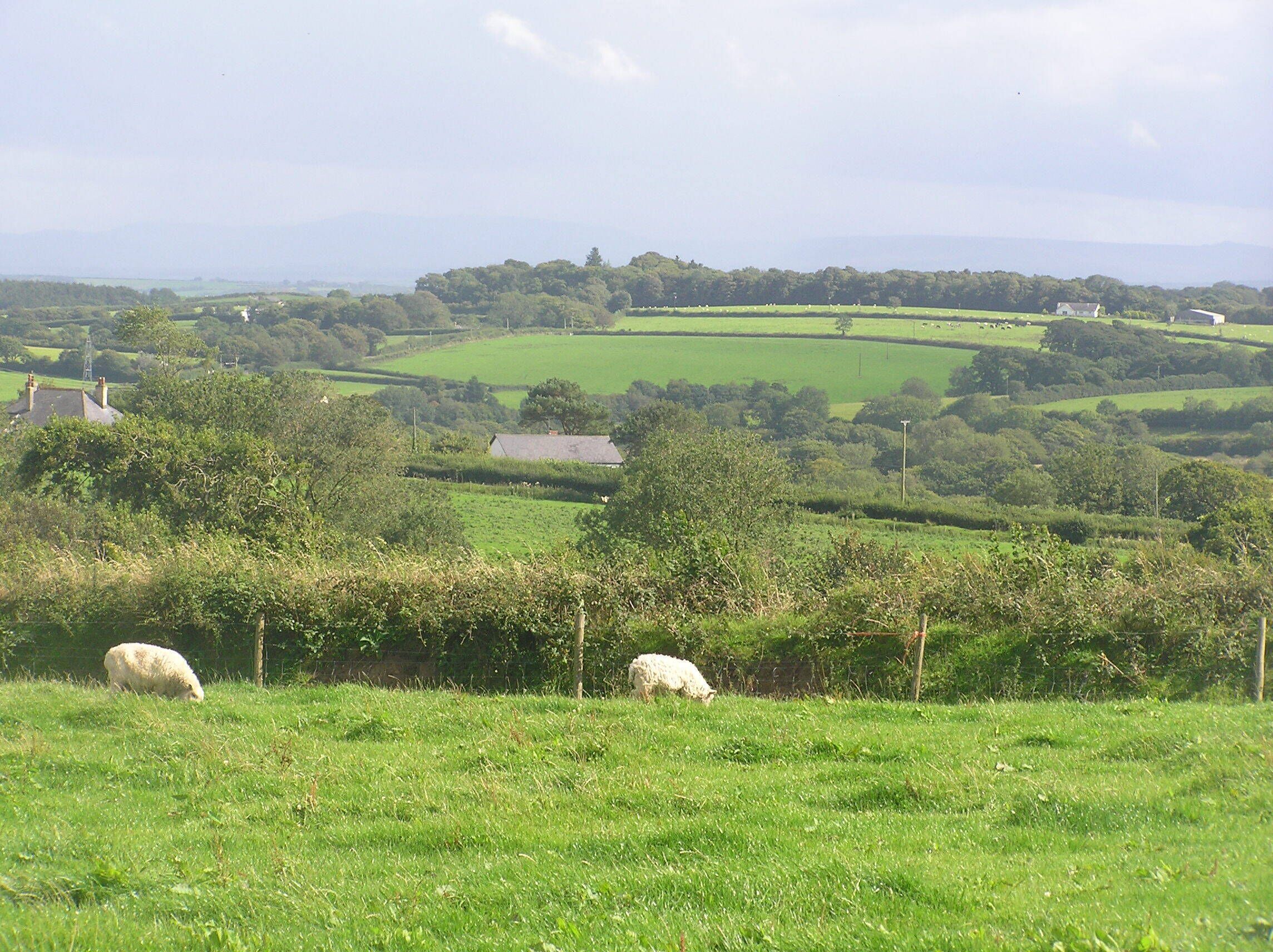 Looking towards Dartmoor from Blackberry Farm Shop