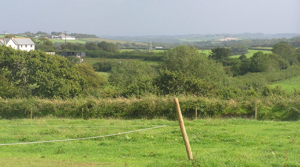 View from Blackberry Farm Shop - August 2011