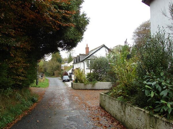 A narrow, wet road flanked by houses and dense foliage.
