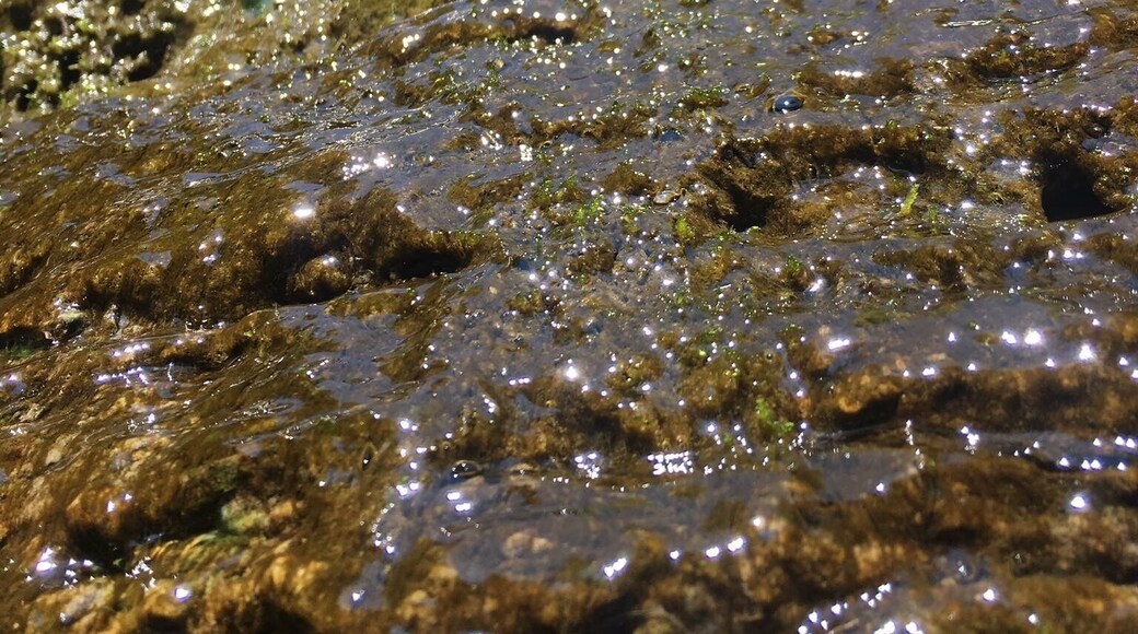 beautiful spot in the heart of Naples. breathtaking waterfalls and plenty to explore.